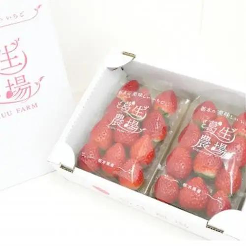 【春イチゴ】『葛生農場』栃木の新品種『とちあいか』(260g×2パック)【配送不可地域：離島】【1663313】