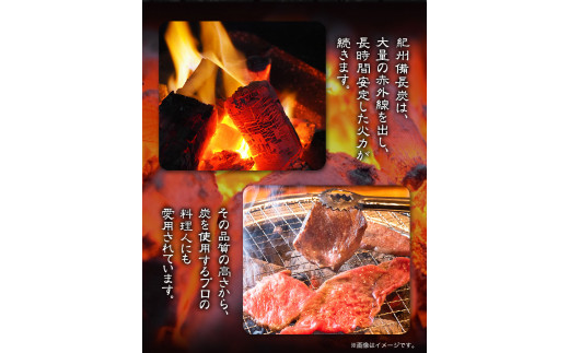 紀州備長炭半丸約5kg望商店《30日以内に出荷予定(土日祝除く)》備長炭紀州備長炭炭約5kg高級白炭---wshg_nzm6_30d_23_27000_5kg---｜備長炭備長炭備長炭備長炭備長炭備長
