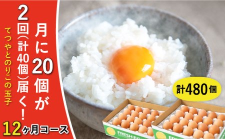 《月2回 × 20個 × 12ヶ月コース》てつやとのりこの玉子 全24回定期便 糸島市 / 板垣ファーム [AWD014] 鶏卵 鶏卵 鶏卵 鶏卵 鶏卵 鶏卵 鶏卵 
