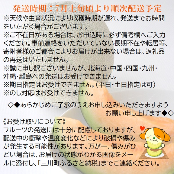 食の都庄内　プロの技！庄内砂丘　赤肉メロン　※令和7年7月頃より順次配送予定 赤肉メロン（1箱3～4玉入り）