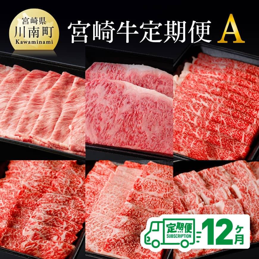 【ふるさと納税】※レビューキャンペーン※【定期便】宮崎牛 12ヶ月定期便A (肩ローススライス/ロースステーキ/ウデスライス/モモ焼肉/肩ロース焼肉/バラ焼肉) 肉 牛肉 国産 宮崎県産 黒毛和牛 和牛 カルビ 宮崎県 川南町 送料無料 D00674t12