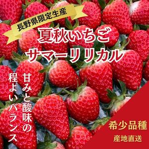 【すえひろファーム　いちご園】夏秋いちご　サマーリリカル（長野県限定生産）1箱（30～36粒）×2　| 限定 苺 イチゴ ストロベリー 果物 フルーツ  北アルプス 雪解け水 長野 信州