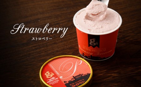 ガンジーアイス 12個セット（バニラ、チョコ、ストロベリー）