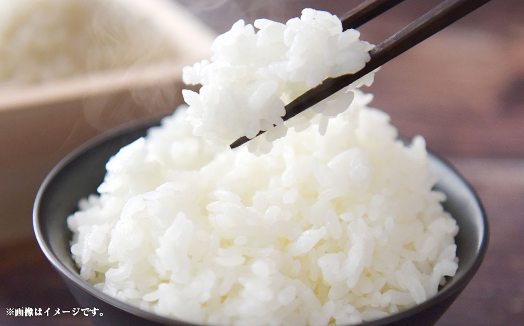 
            【令和7年産】静岡県産コシヒカリ 精米 10kg （5kg×2袋） 【2025年8月下旬～2026年8月下旬迄順次発送予定】 コシヒカリ こしひかり 白米 米 コメ こめ ご飯 ごはん 新米 菊川市 静岡県
          
