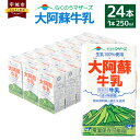 【ふるさと納税】 牛乳 大阿蘇牛乳 24本 250ml×24本 1ケース 成分無調整牛乳 生乳100%使用 乳飲料 乳性飲料 らくのうマザーズ ドリンク 飲み物 飲料 セット 紙パック 常温保存可能 ロングライフ 送料無料