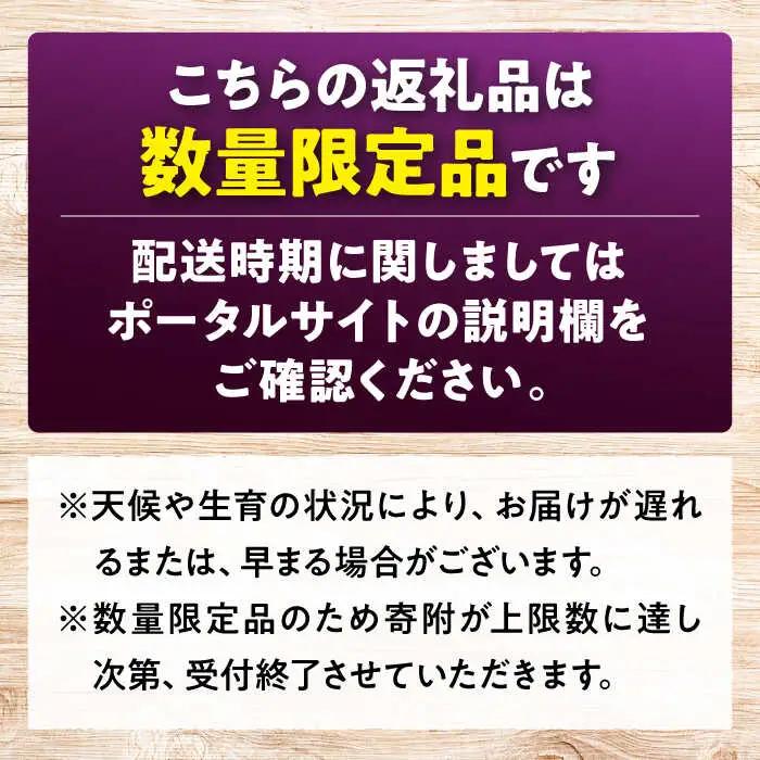 【2026年先行予約】ぶどう ＜9月上旬から順次発送＞ ベリーA 2kg [APCK005] ぶどう