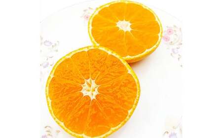 熊本県産ハウス蜜柑 約2キロ前後 果物 フルーツ みかん 蜜柑 ミカン ハウスみかん 約2kg前後 常温 熊本県産  【2026年7月上旬発送開始】