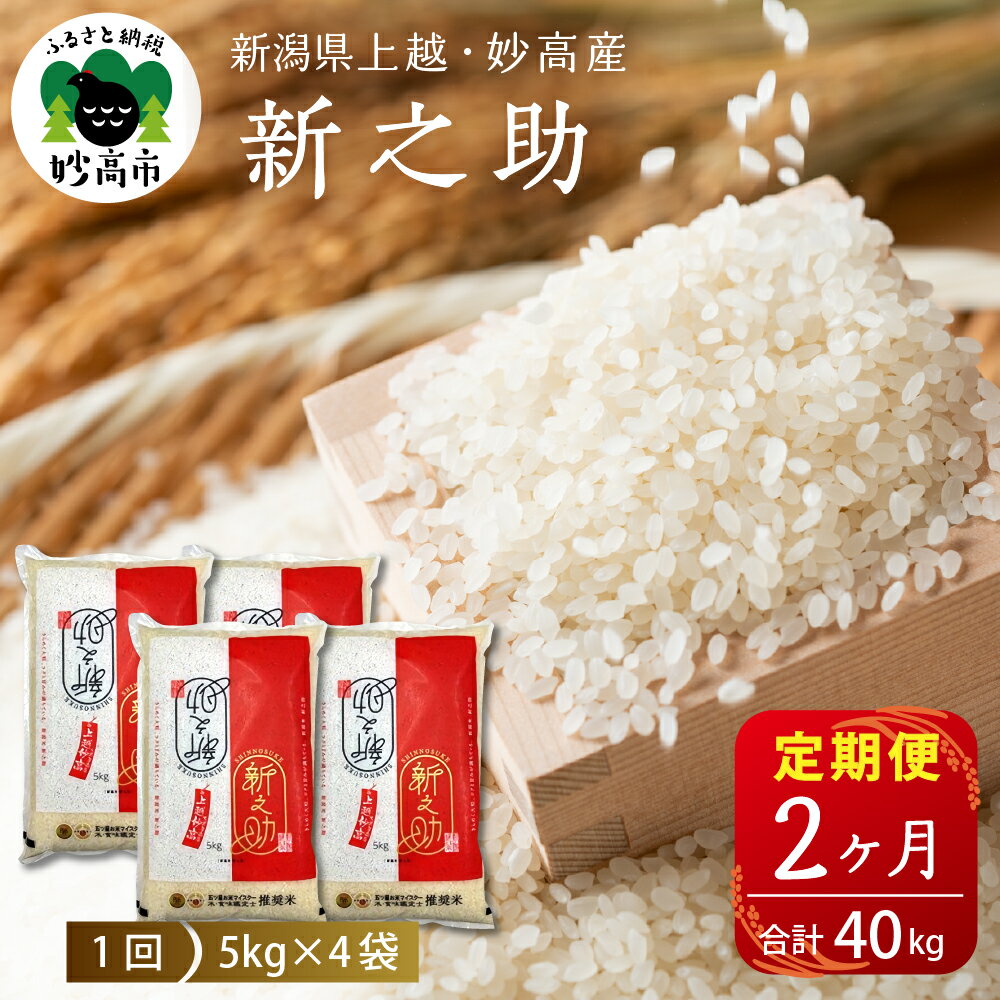 【ふるさと納税】【 定期便 発送時期が選べる 】 米 新之助 しんのすけ 20kg ( 5kg × 4袋 ) × 2ヶ月 計40kg 【令和7年産】 2025年産 新潟県 上越 妙高産 米どころ 白米 精米 ブランド米 お取り寄せ 五つ星 送料無料 妙高市 五つ星お米マイスター厳選