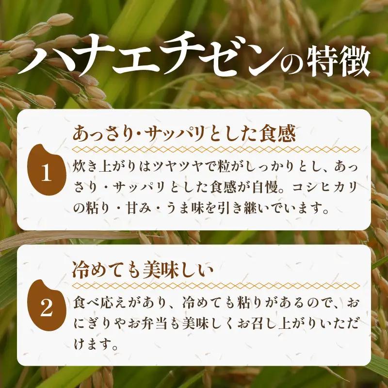 【先行予約】【令和8年産・新米】《定期便》特別栽培米 ハナエチゼン 低農薬 5kg×12回 60kg 《食味値85点以上！こだわり極上米》 / 福井県 あわら 北陸 米 お米 人気 ※2026年9月下