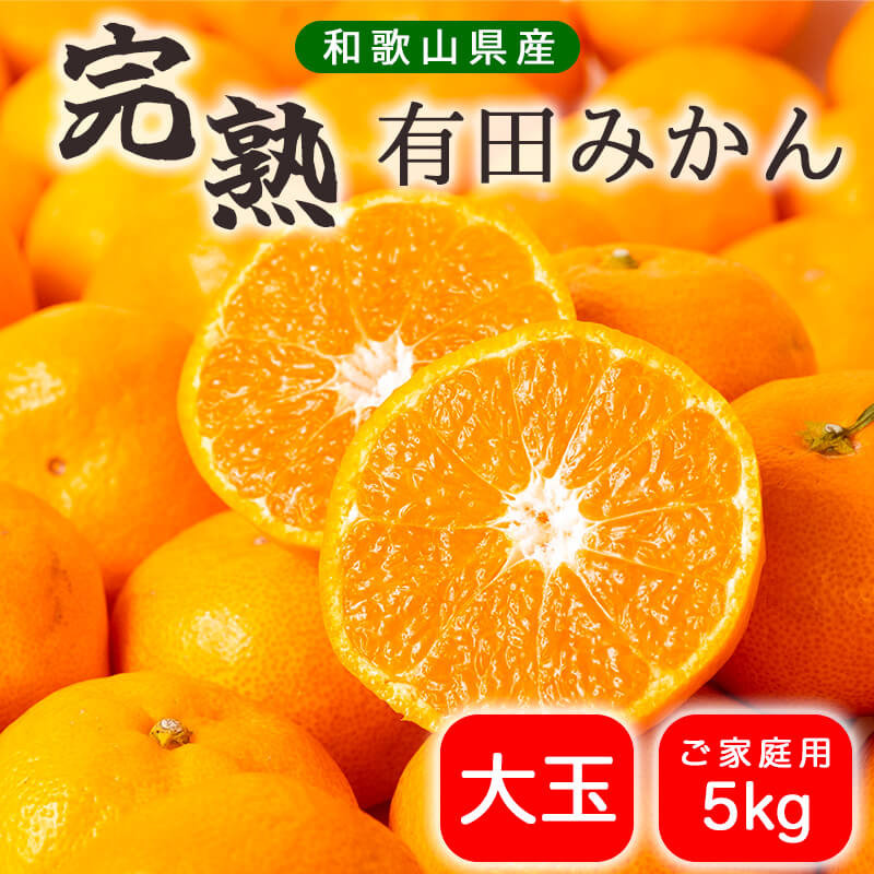 
            BG6108n_濃厚完熟！ 有田みかん 5kg 大玉 家庭用 【送料無料】
          