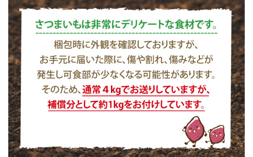 さつまいも シルクスイート 生芋 約5kg 詰め合わせ 焼き芋 熟成 貯蔵 サツマイモ しるくすいーと 生さつまいも やきいも 焼いも 焼芋 芋 イモ おやつ デザート 送料無料 農家直送 鹿畑ポテト