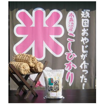ふるさと納税 南魚沼市 【令和7年産】特別栽培米　がんこおやじが作った南魚沼産コシヒカリ　白米3kg×1袋 |  | 01