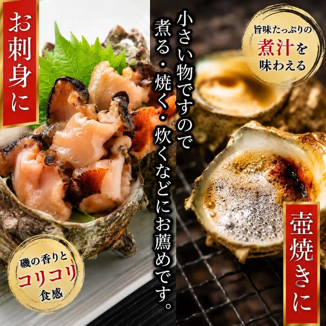 サザエ 佐渡産 天然活 2kg 20個前後 | 新潟県 サザエ