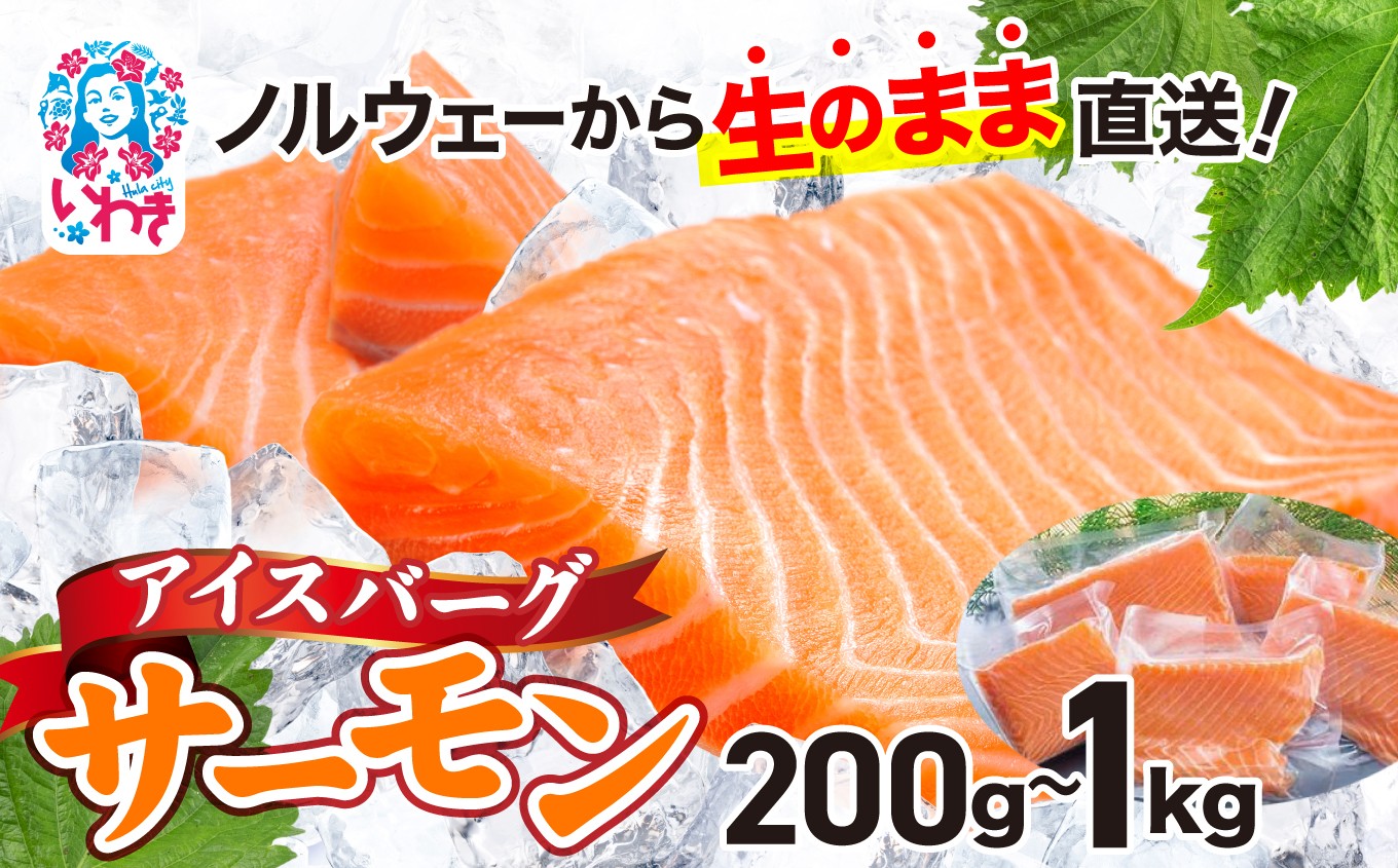 
                  サーモン アイスバーグサーモン(アトランティックサーモン) 約200g〜約1kg(約200g×1〜5袋) ｜ 選べる 容量 配送月 刺身 鮭 サケ さけ 生食サーモン 海鮮 海鮮丼 手巻き寿司 人気 おすすめ ノルウェー産 フィレ 個包装 冷凍
                