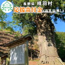 【ふるさと納税】長野県根羽村への応援　(返礼品はございません）寄付のみ 3000円　返礼品なし