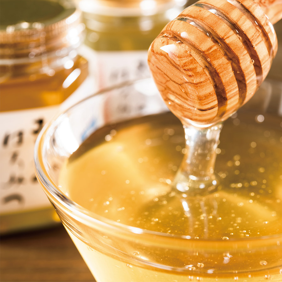 北海道乙部町産100％天然蜂蜜「おとべのはちみつ」トチ500g×1本