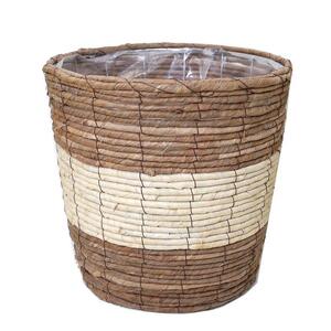 【観葉植物】青年の木（ユッカ） 10号 ストライプバスケット鉢カバー 土の表面：ウッドチップ｜観葉植物 インテリア 部屋 おしゃれ 福岡県筑前町 送料無料