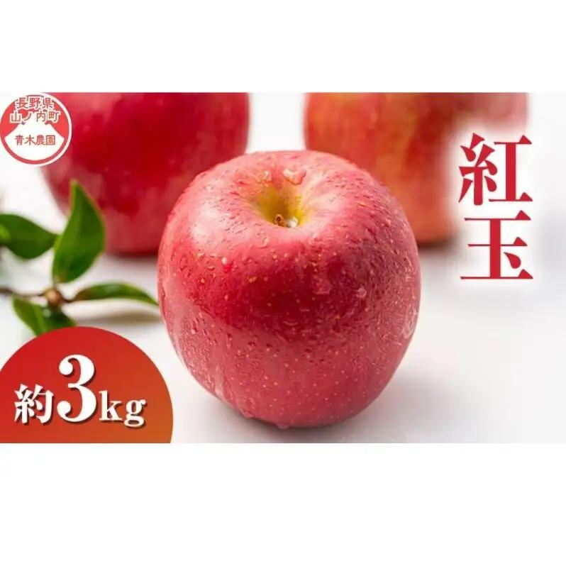 りんご 紅玉 3kg 7～9玉 長野県産 りんご