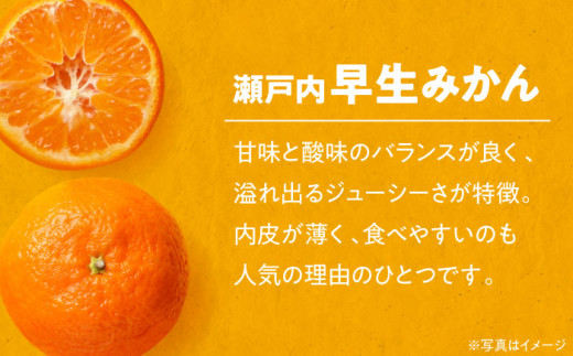 早生みかん3kg・富有柿3kg 詰合せセット