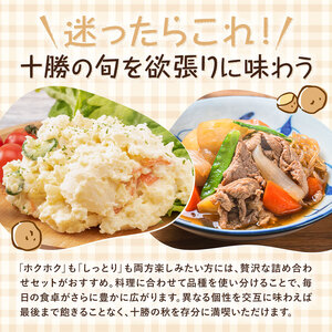 十勝野じゃがいも詰合せセット10kg（きたあかり・メークイン）【2026年秋出荷】（先行受付）［按田農場］