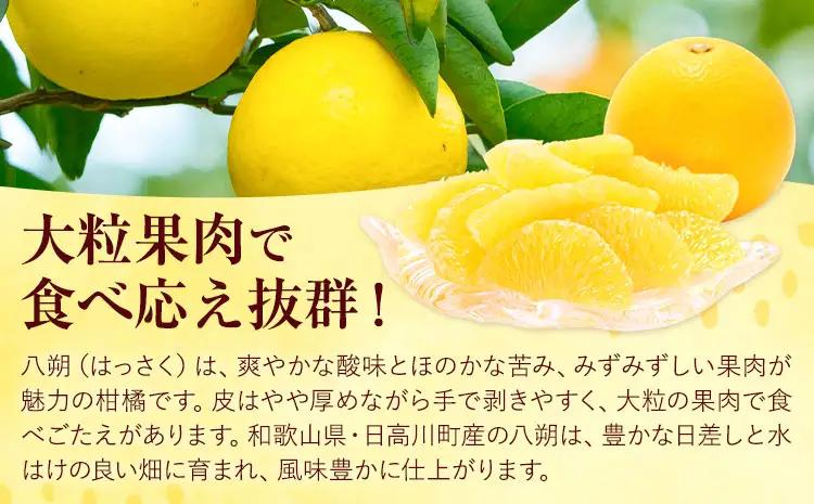 八朔 約10kg はっさく