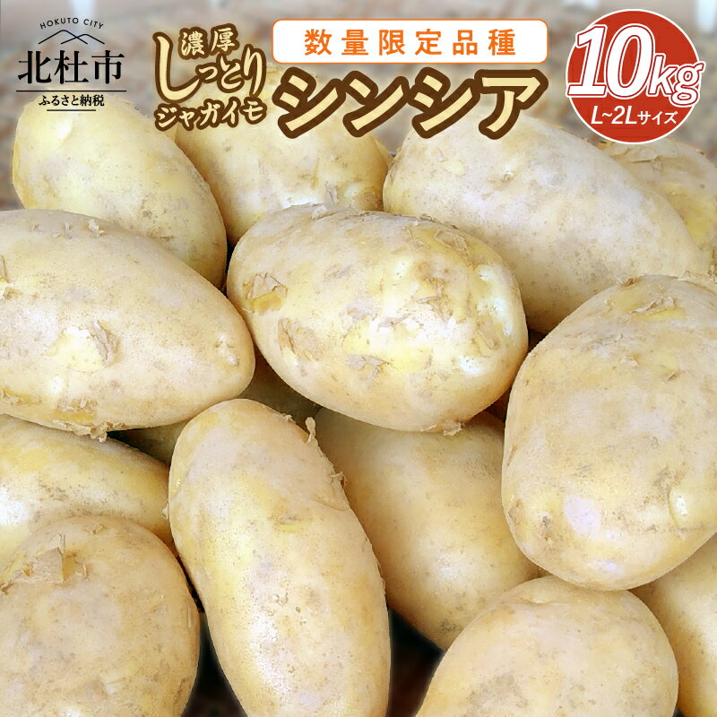 【ふるさと納税】 数量限定 ジャガイモ シンシア 濃厚 ほくほく ねっとり しっとり食感 10kg フランス原産 送料無料