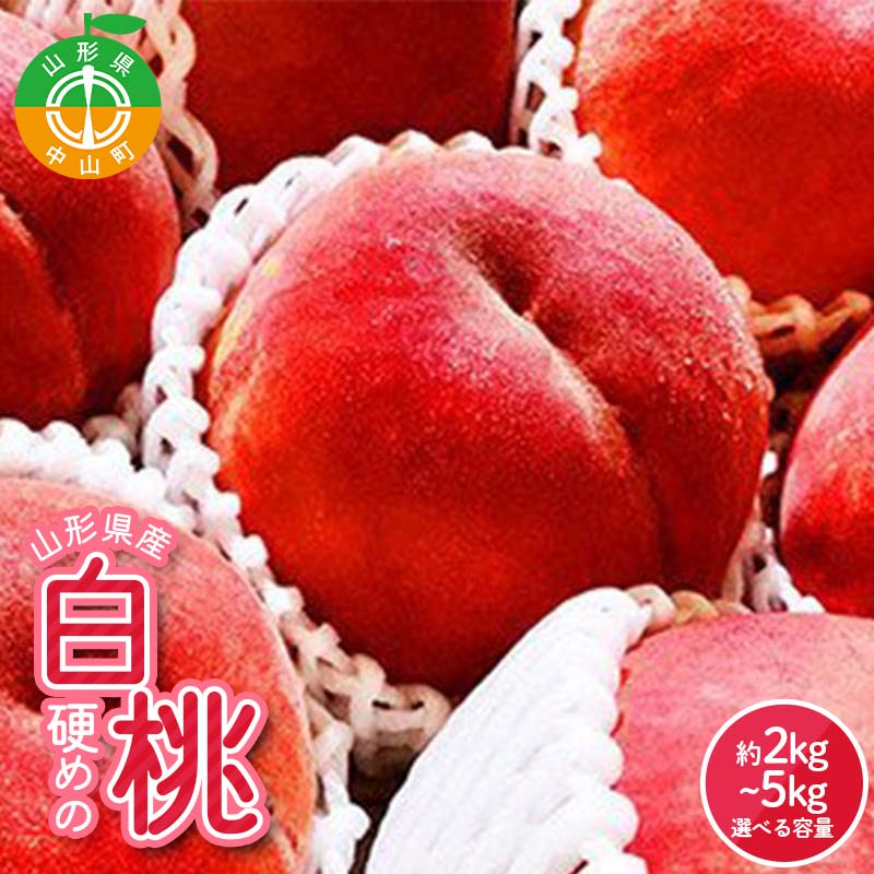 【ふるさと納税】《2026年産 先行受付》量が選べる！山形県産 硬めの白桃 品種おまかせ 果物 くだもの 桃 もも フルーツ 白桃 山形県産 F4A-0971var