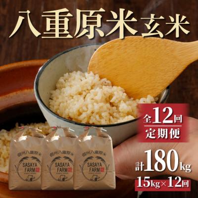 ふるさと納税 東御市 令和7年新米受付【12回定期便】八重原米15kg 玄米※2025年10月以降順次発送|笹屋農園