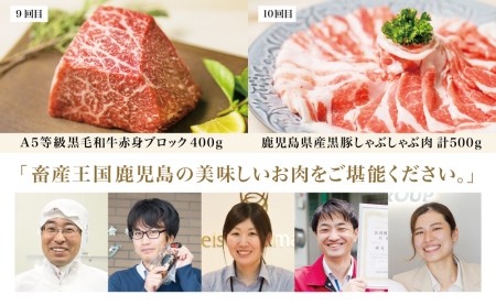 【定期便】畜産王国・南さつま市のオールスター厳選お肉 定期便（10回） 牛肉 豚肉 すき焼き しゃぶしゃぶ 赤身 焼肉 味噌漬け 冷凍 定期便 鹿児島 南さつま市