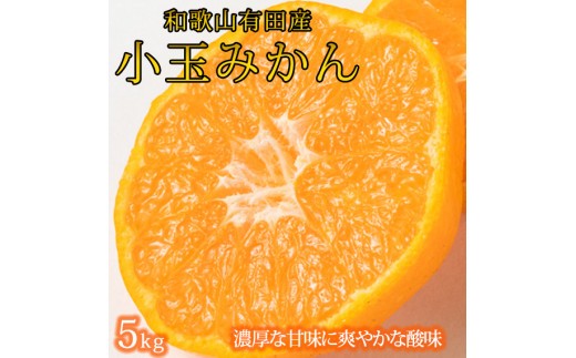 
                  【ふるさと納税】 有田の小粒みかん5kg　(S〜3Sサイズ混合) ※2026年11月下旬頃～2027年1月下旬頃に順次発送予定(お届け日指定不可) / みかん ミカン 蜜柑 温州みかん 柑橘 フルーツ 果物 くだもの 和歌山【uot845】
                