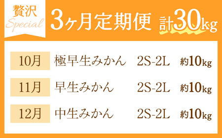 3ヶ月定期便 みかん 計30kg 日本フルーツ株式会社 ミカン