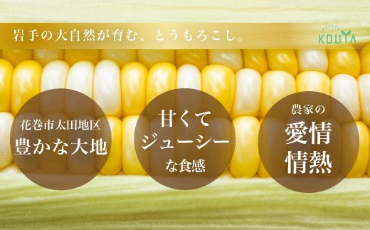 《先行予約》岩手県産　耕野のとうもろこし「ゴールドラッシュ」約5kg（10～15本） 【1895】