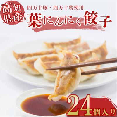 ふるさと納税 須崎市 葉にんにくと四万十豚で作った最高級餃子(6個入り×4パック)