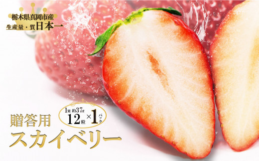 
贈答用 スカイベリー (12粒×1パック) 真岡市 栃木県 送料無料
