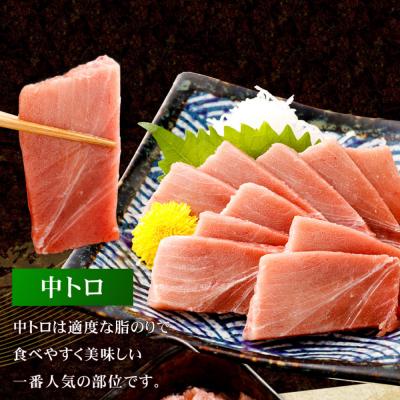 ふるさと納税 室戸市 まぐろの王様! 天然本まぐろ 味わいセット 400g |  | 02