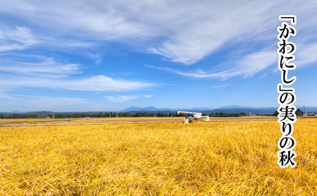 「厳選☆十日町育ち」魚沼産コシヒカリ　2kg×3袋