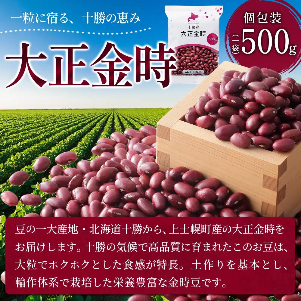 2025年産 十勝産 大正金時 計5kg（500g×10袋） 小分け 個包装 国産 北海道 JA上士幌町 穀物 豆 豆類 生豆 金時豆