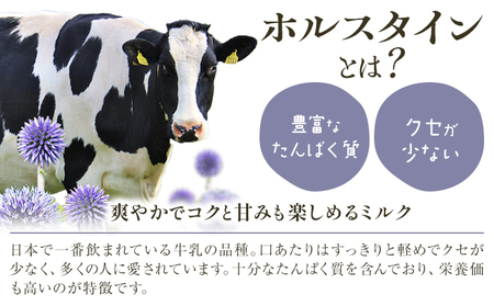 ホルスタインミルク 100％ 使用 産山ヨーグルト15個 株式会社UBUYAMAPLACE《30日以内に出荷予定(土日祝除く)》熊本県 阿蘇郡 産山村 ヨーグルト 乳製品 ホルスタイン 朝食 おやつ 