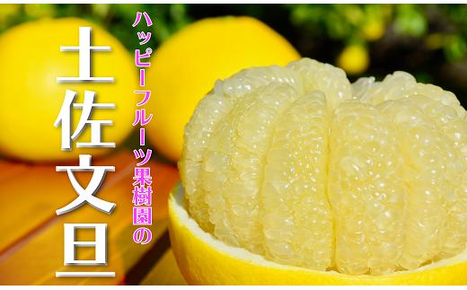 【お裾分け用】 ハッピーフルーツ果樹園 土佐文旦 12kg (3kg × 4箱) 家庭用 L~4L 文旦 ぶんたん みかん 高知 フルーツ スイーツ 蜜柑 デザート 柑橘 期間限定 ギフト プレゼント 贈り物
