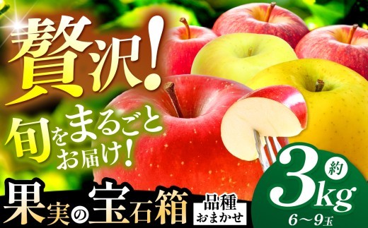 
                  【果実の宝石箱】信州梓川りんご プレミアムMIX  3kg(6～9玉) ｜ ふるさと納税 松本市 りんご リンゴ 果物 フルーツ 信州 美味しい 特選 長野県
                
