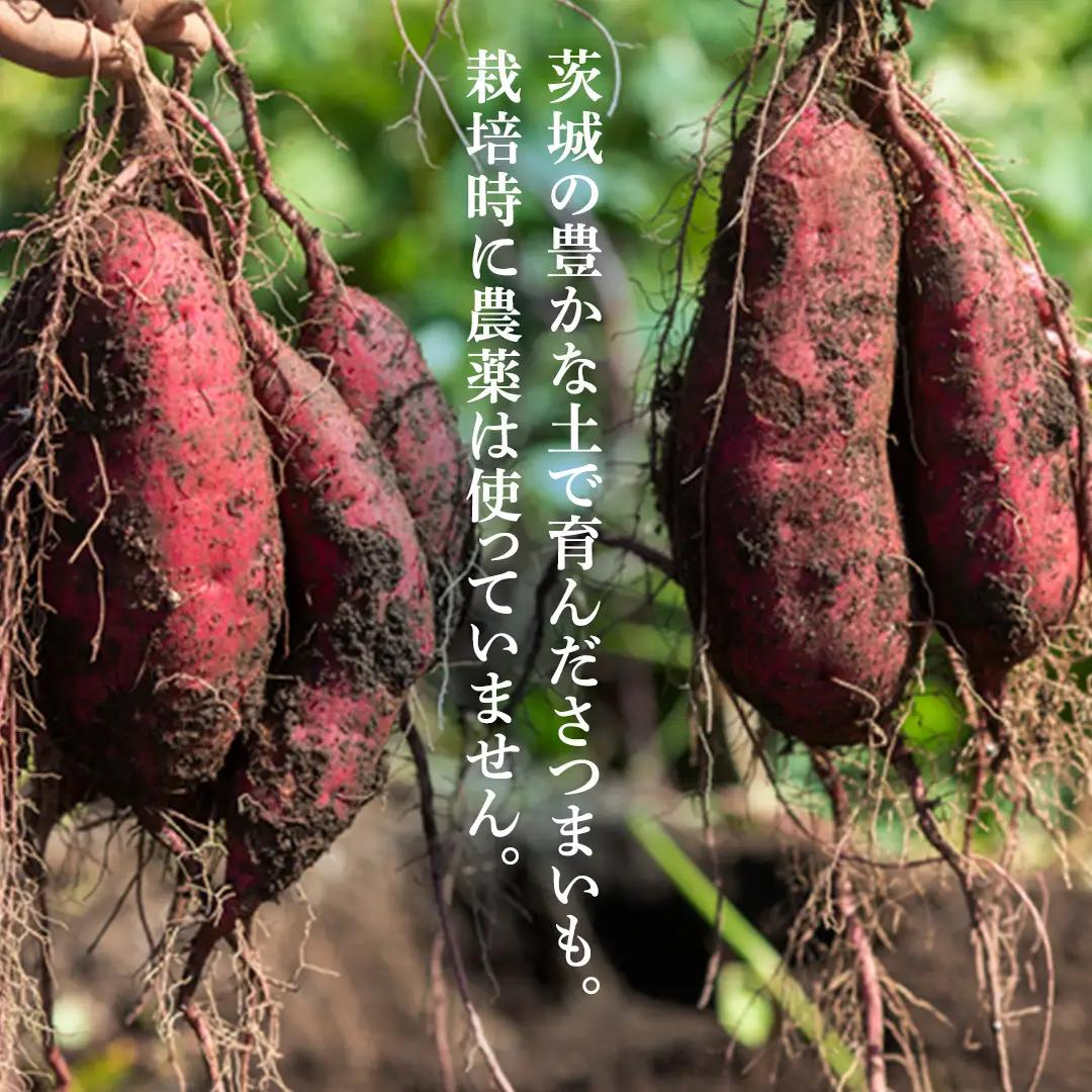 ＼先行予約／ 干し芋 こだわりの天日干し(W乾燥方式)1.5kg 【2026年 11月以降発送】 (BJ021)