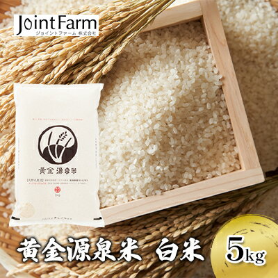 【ふるさと納税】黄金源泉米　白米 精米 お米 コシヒカリ こしひかり 新潟県産