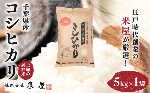 令和7年度産  上総の純粋米  「コシヒカリ」　5kg　【厳選】　千葉県産/ ふるさと納税 コシヒカリ こしひかり お米 米 こめ うるち米 うるち精米 千葉県 木更津市 送料無料 数量限定 限定 チョイス限定 KCV002