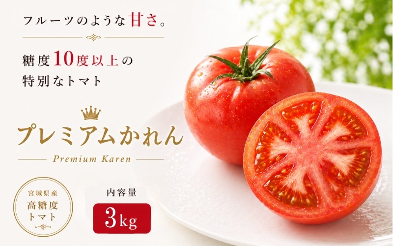 
                  【糖度10度以上！】プレミアムかれん 3kg ※沖縄・離島配送不可 / とまと 野菜 トマト【delf040】
                