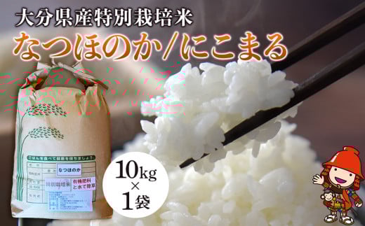 令和7年産 特別栽培米 なつほのか にこまる 10kg×1袋 | 大分県中津市三光産 栽培期間中 農薬不使用 精米 玄米 選べる 国産 お米 米 ご飯 白米 農家直送 宗像農園 大分県産 九州産 大分県 中津市