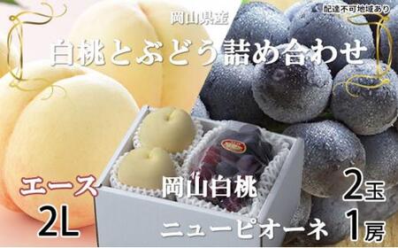 桃 ぶどう 2025年 先行予約 岡山 白桃 エース 2玉×約250g（2Lサイズ、早生種・中生種）ニュー ピオーネ 1房約500g  詰め合わせ｜フルーツ 果物 くだもの もも ぶどう モモ ブドウ 桃 葡萄 白桃 エース 早生種 中生種 ピュオーネ ニューピュオーネ 2玉 1房 食品 人気 おすすめ 詰め合わせ 送料無料 ギフト 贈り物 贈答品 プレゼント 