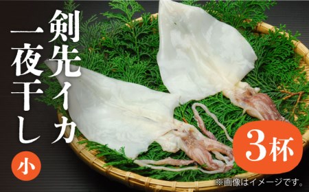 剣先イカ 一夜干 （小） 3杯 《壱岐市》【株式会社マルショウ】 いか イカ 剣先いか セット おつまみ 一夜干し [JEW005] 14000 14000円 のし プレゼント ギフト 冷凍配送 九州