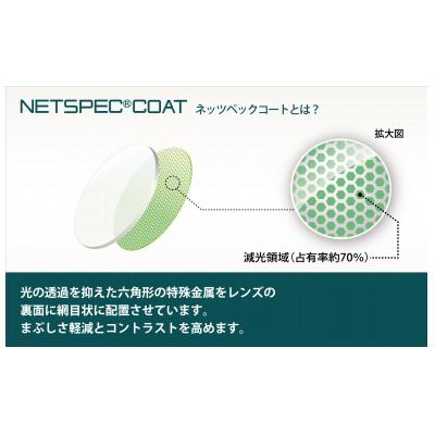 ふるさと納税 蒲郡市 エアロジライト　オーダーふちなし眼鏡&減光レンズセット_【G0423】 |  | 02