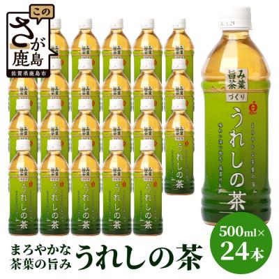 ふるさと納税 鹿島市 うれしの茶　500mlペットボトル×24本入