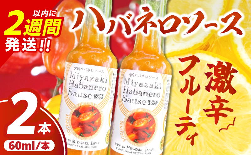 爽やか激辛食感 フルーティなハバネロソース 数量限定 宮崎 ハバネロ ソース 計2本 激辛ソース 調味料 おすすめ 加工品 オリジナル ブレンド 肉料理 パスタ ピザ ギフト プレゼント 贈り物 お取り寄せ 宮崎県 日南市 送料無料 日南スピード配送 コカゲワークス ハバネロソース_ZXV1-24